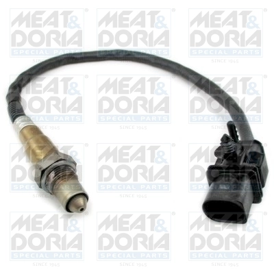 Oxygen Sensor